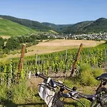 Im Moseltal