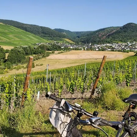 Im Moseltal
