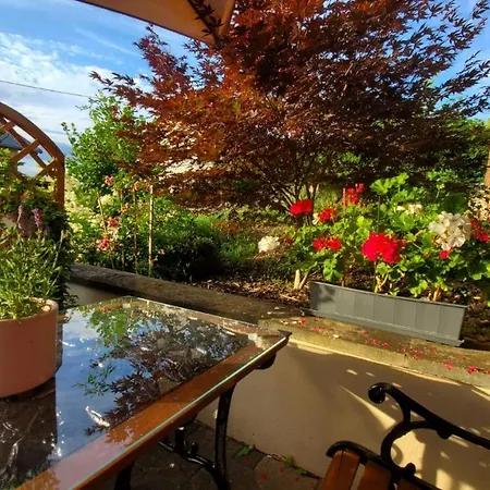 Apartment Im Moseltal Veldenz