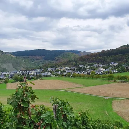Apartman Im Moseltal *