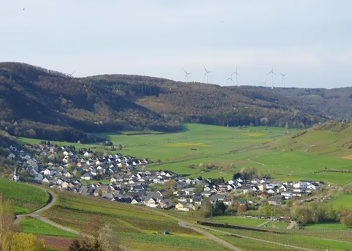 Im Moseltal דירה *