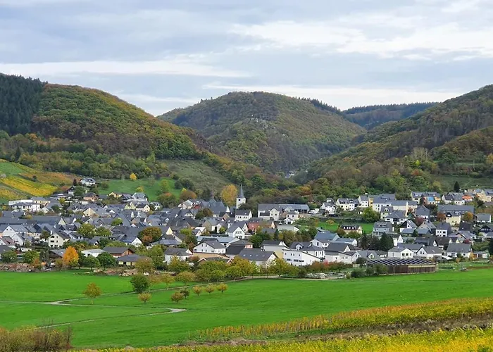 Im Moseltal * Veldenz