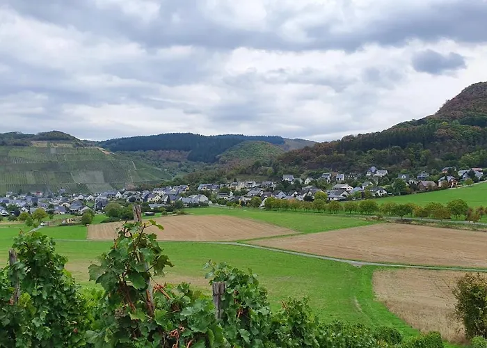 דירה Im Moseltal *