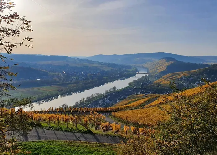 Im Moseltal * Veldenz